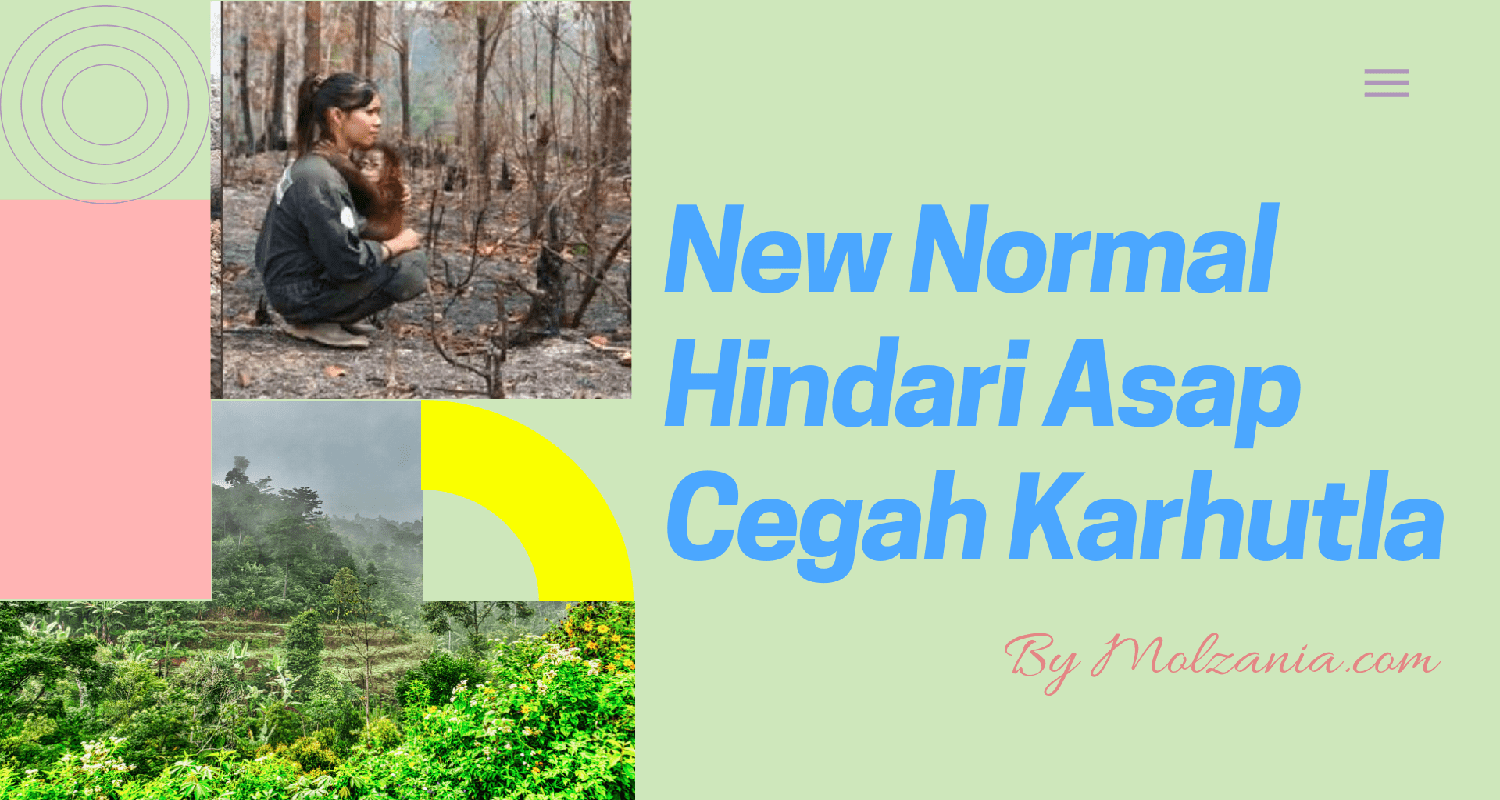 New Normal Hadapi Musim Kemarau untuk Cegah Karhutla