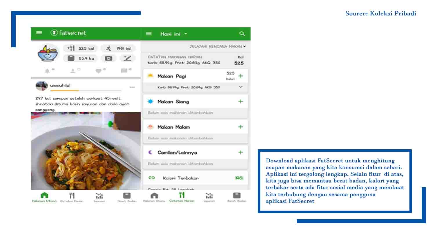 aplikasi FatSecret