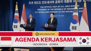 Menyambut 50 Tahun Persahabatan, Ini Agenda Indonesia dan Korea