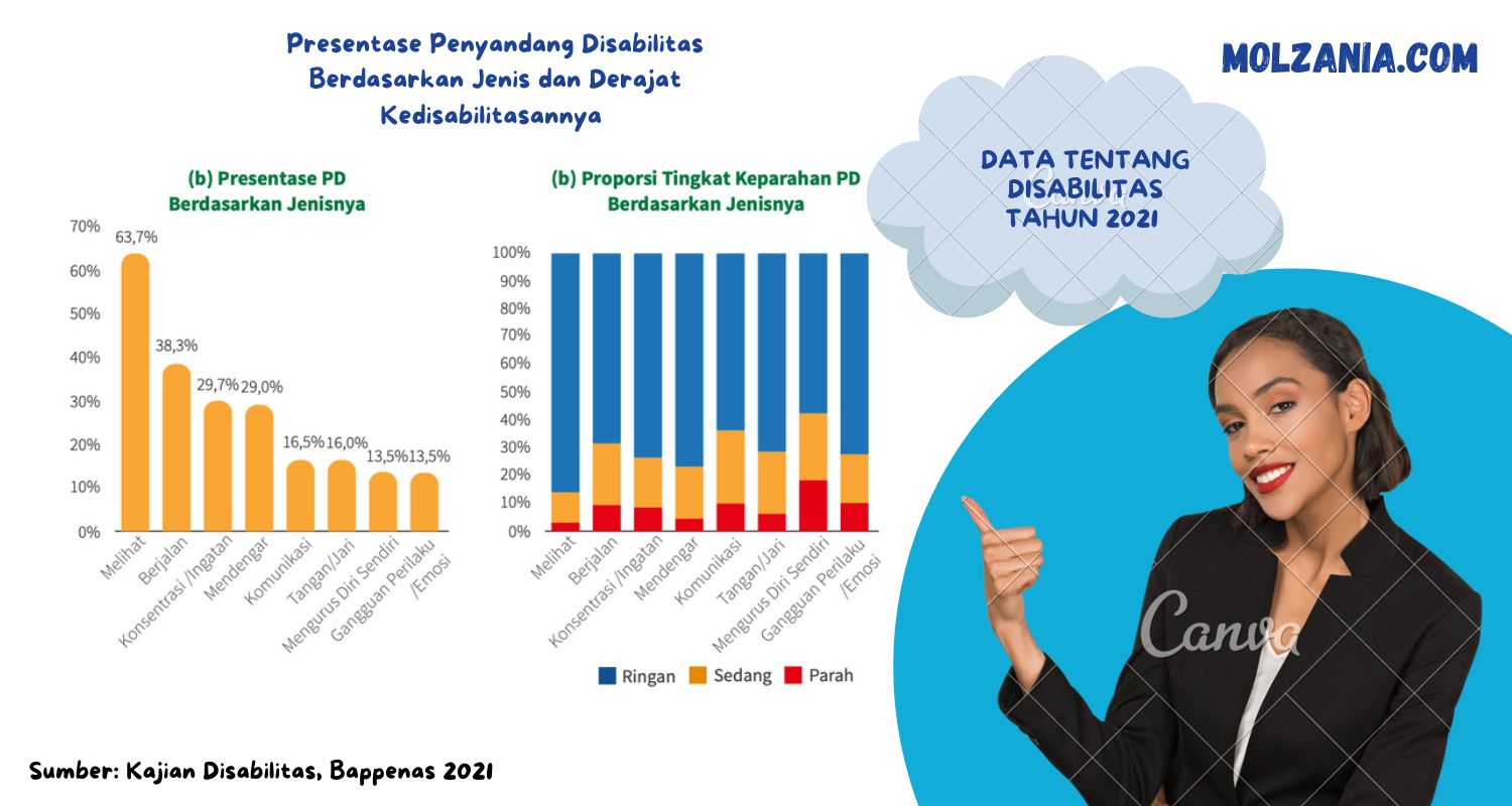 grafik presentase disabilitas jenis dan tingkat keparahannya