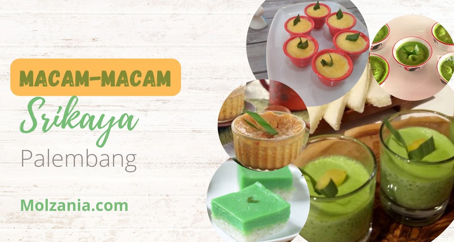 6 Macam Kue Srikaya Palembang Asli. Mana Favoritmu?