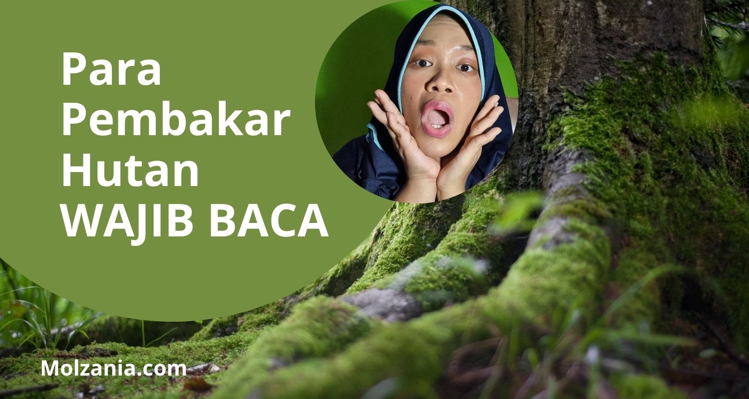 Palembang ‘Betangas’ Gara-Gara Asap, Bisakah Ini Dihentikan?