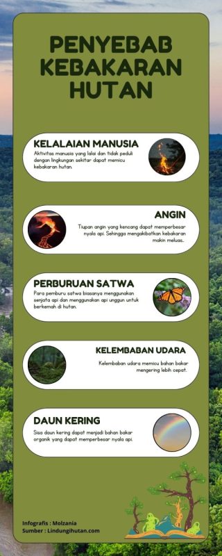 penyebab-kebakaran-hutan-part-2