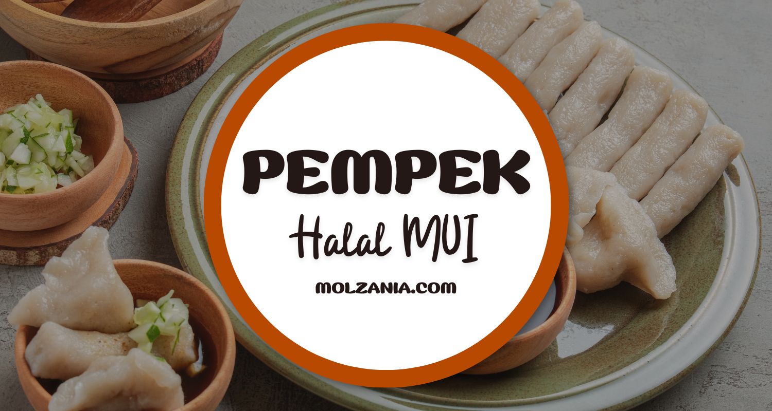 Restoran Pempek Halal MUI di Palembang, Cek Yuk?